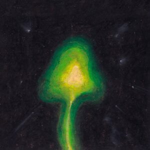 Print arte hongo luminoso ague pintura fondo oscuro oscuridad luz amarillo verde