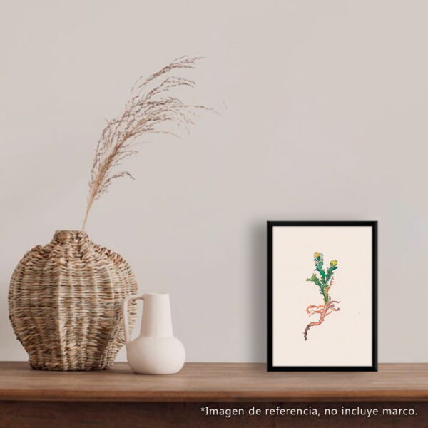 Print - Manzanilla - Imagen 3