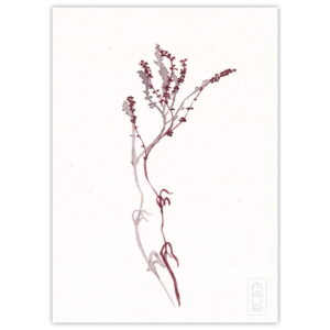 pintura acuarela rama vegetal muy simple y delicada, sombra proyectada