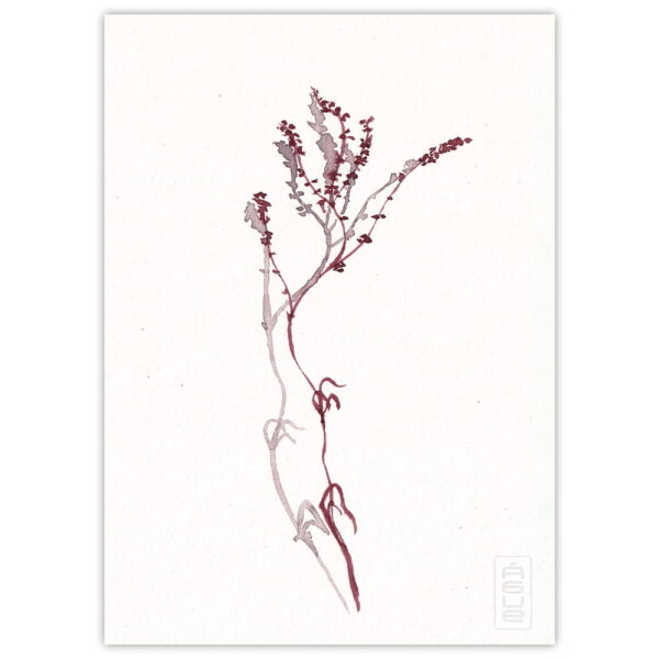 pintura acuarela rama vegetal muy simple y delicada, sombra proyectada
