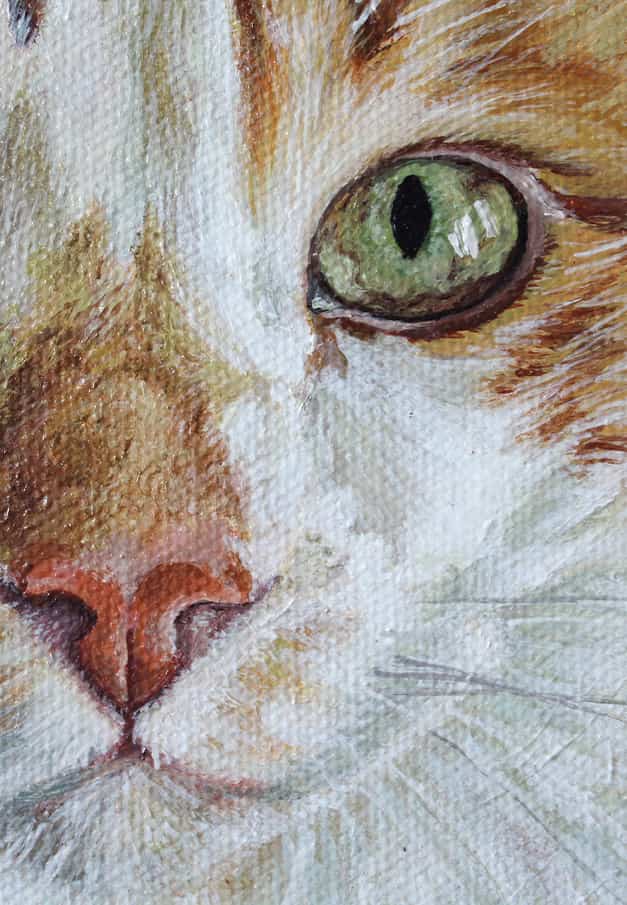 Detalle pintura acrilico rostro gato blanco con manchas naranjas, ojos verdes