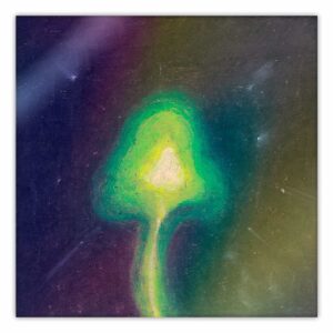 Sticker tornasol - Hongo de luz
